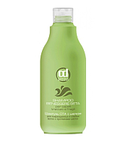 Constant Delight SPA Silk Shampoo - Шампунь с протеинами шелка для поврежденных волос 500 мл